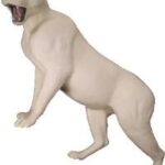 Cougar