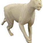 Cougar