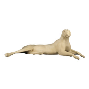 Cougar Laying Down Stretched