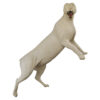 Cougar Standing High Aggressive - Thumbnail Image 2