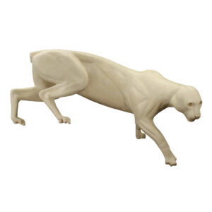 Cougar Crouched Stepping Down