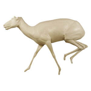 Antelope Running