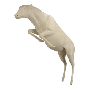 Whitetail Jumping Over Obstacle - Extra Large