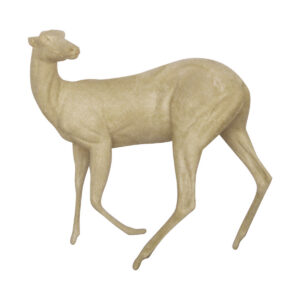 Whitetail Looking Over Left Shoulder