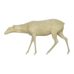 Whitetail Walking Forward