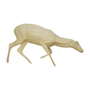 Whitetail Sneaking Head Low