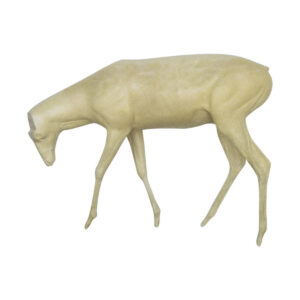 Whitetail Standing Aggressively