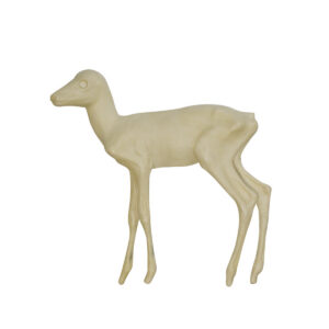 Whitetail Fawn Standing