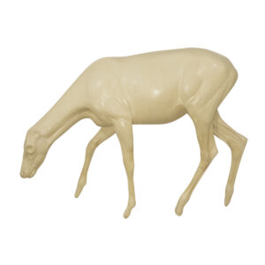 Elk Calf Grazing