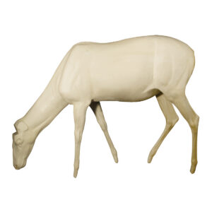 Elk Spike Grazing