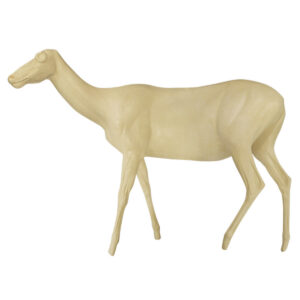 Elk Cow Standing