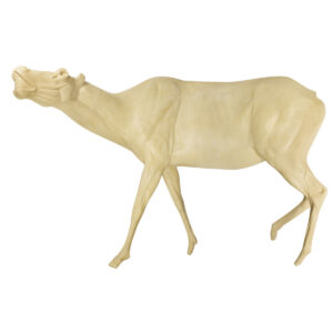 Elk Low Head Bugling