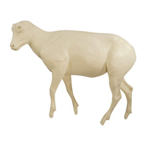 Mountain Goat Kid Walking Looking Left