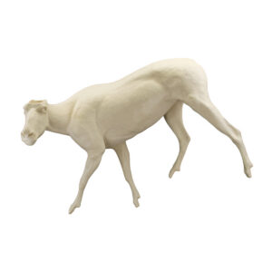 Mountain Goat Nanny Walking Downhill Looking Left