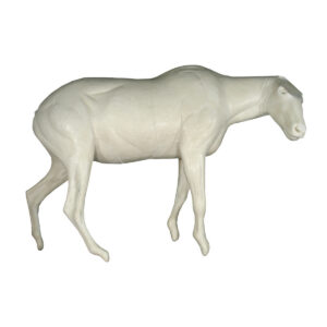 Mountain Goat Walking With Nose Down