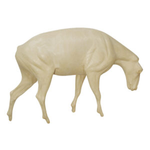Mountain Goat Standing Head Down