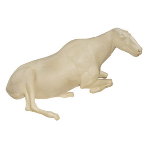Mountain Goat Laying Down With Head Up