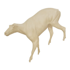 Mountain Goat Climbing Down