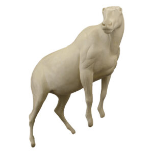 Mountain Goat Standing Front High Looking Right