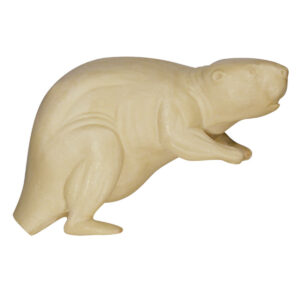 Beaver Standing