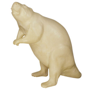 Beaver Standing Looking Up