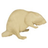 Beaver Chewing on Branch - Thumbnail Image 2