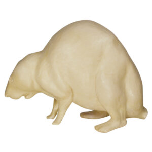 Beaver Hunkered Down