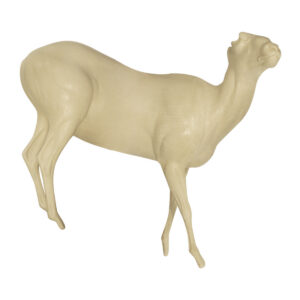 Rocky Mountain Bighorn Rear Elevated Looking Right