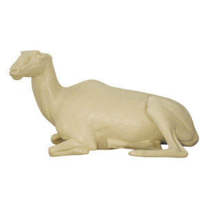Dall Stone Sheep Laying Down