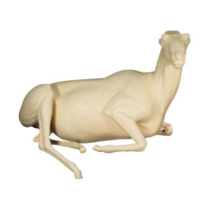 Dall Stone Sheep Laying Down Head Up