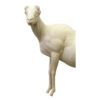 Baja Desert Bighorn Front High Left Turn - Thumbnail Image 2