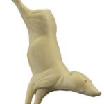 Opossum