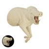 Peccary Charging With Open Mouth - Thumbnail Image 2
