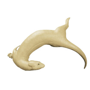 Otter Swimming Curving In A Circle 1