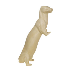 Otter Stepping Up Looking Right
