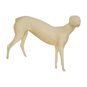 Wolf Standing With Rear High