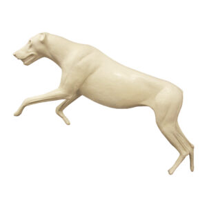 Wolf Running Leaping Open Mouth