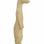 Pine Marten