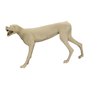 Wolf Standing Looking Left