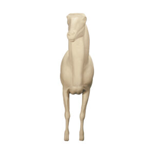 Aoudad 1/2 Size