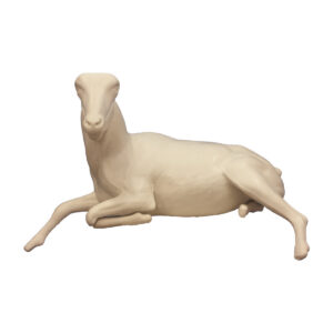 Aoudad Laying Down Upright