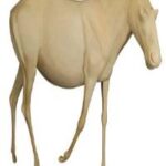 Wildebeest