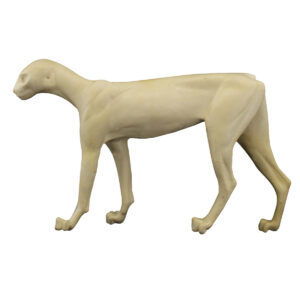 Bobcat Walking Straight