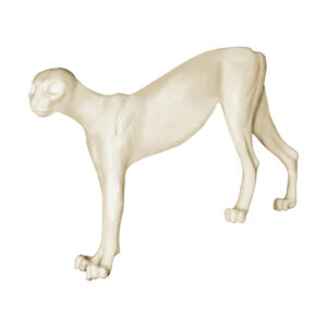 Bobcat Low Front Left Look