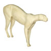Bobcat Low Front Standing - Thumbnail Image 1