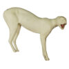 Bobcat Low Front Standing - Thumbnail Image 3