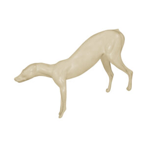 Gray Fox Standing Rear Elevated