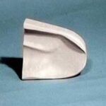 Noses & Septums