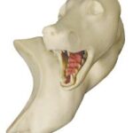 Small Mount Pedestal