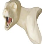 Small Mount Pedestal
